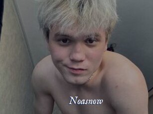 Noasnow