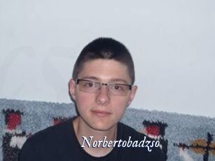 Norbertobadzso
