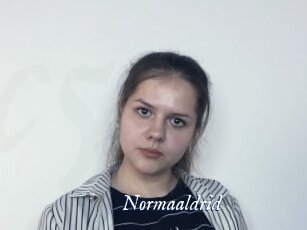 Normaaldrid