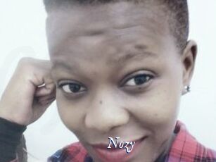Nozy