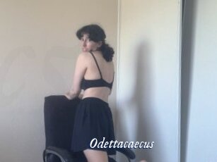 Odettacaecus