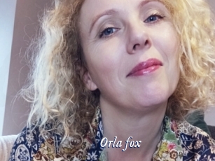 Orla_fox