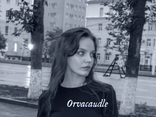 Orvacaudle
