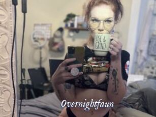 Overnightfaun