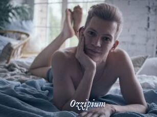 Ozzipium