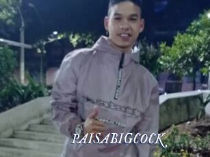 PAISABIGCOCK