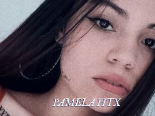 PAMELA_HTX