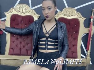 PAMELA_NOLIMITS