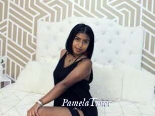 PamelaTuner