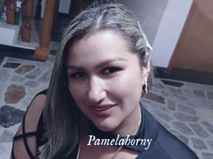 Pamelahorny