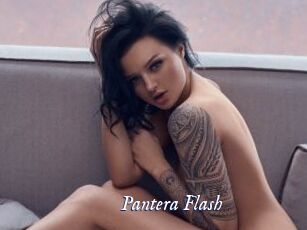 Pantera_Flash