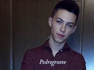 Pedrogenove