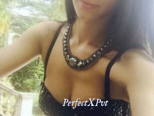 PerfectXPvt_
