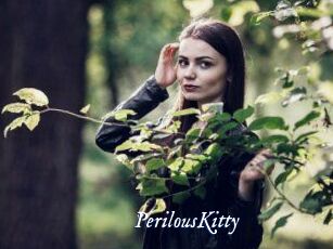 Perilous_Kitty