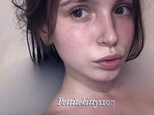 Pettitekitty1107
