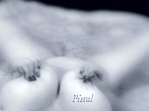 Pistal