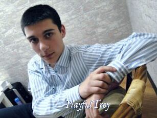 PlayfulTroy