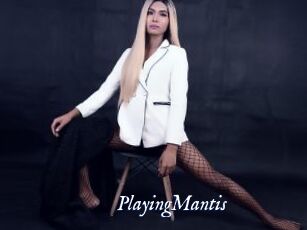 PlayingMantis