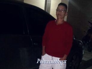 Polexcuteboyx