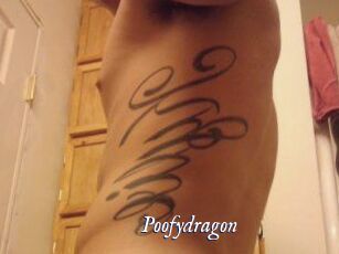 Poofydragon