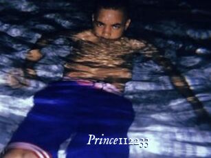 Prince112233