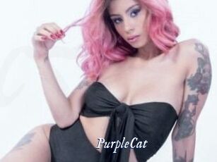PurpleCat