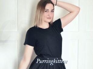 Purringkittene