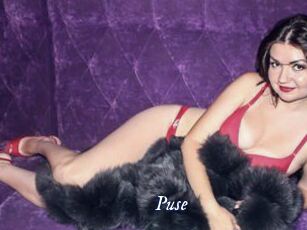 Puse