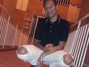Paholohot