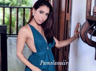 Pamelanoiir