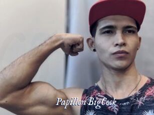 Papillon_BigCock