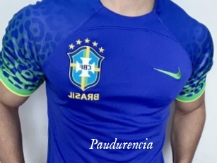 Paudurencia