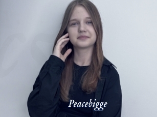 Peacebigge