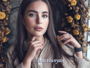 Peacebunyan