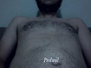 Pedwil