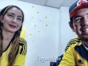 Pegasso_love