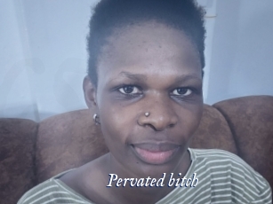 pervated_bitch Cam 5