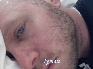 Pgmate