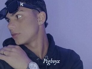 Pigboyx