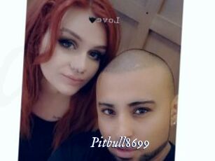 Pitbull8699