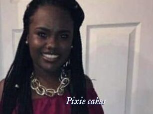 Pixie_cakes