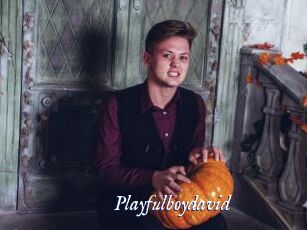Playfulboydavid