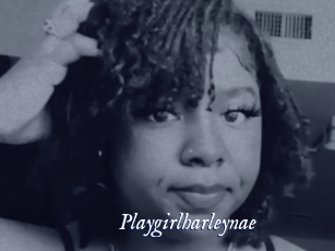 Playgirlharleynae