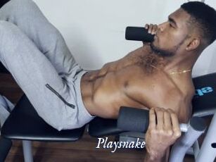 Playsnake