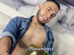 Pleasureboy22