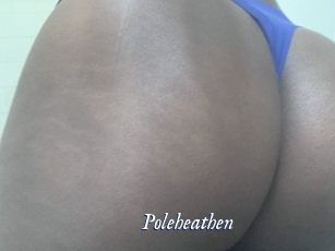 poleheathen Cam 5