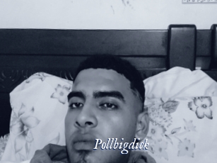 pollbigdick Cam 5