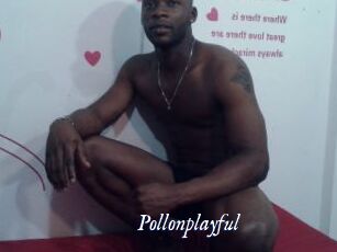 Pollonplayful