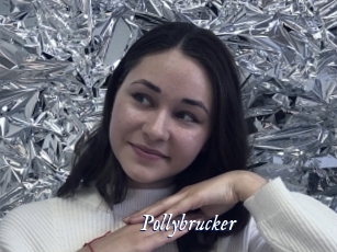 Pollybrucker