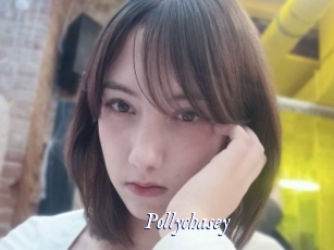 Pollychasey